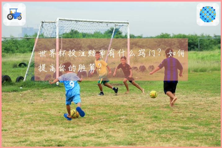 世界杯投注赔率有什么窍门？如何提高你的胜算？