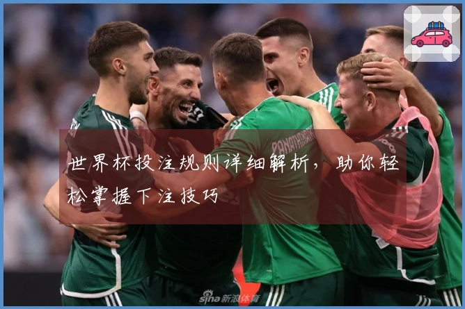 世界杯投注规则详细解析，助你轻松掌握下注技巧