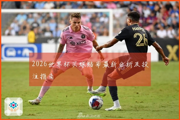 2026世界杯买球赔率最新分析及投注指南