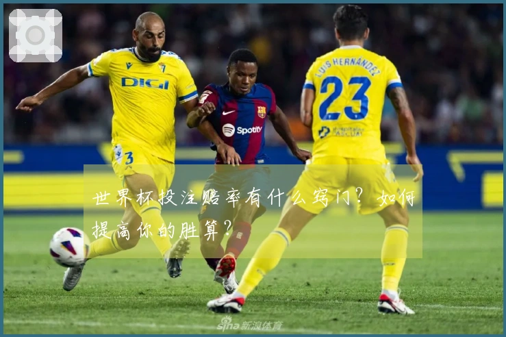 世界杯投注赔率有什么窍门？如何提高你的胜算？
