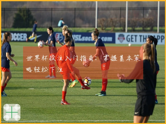 世界杯投注入门指南：掌握基本策略轻松下注