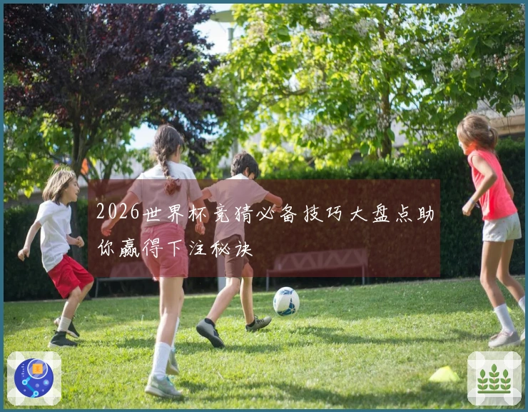 2026世界杯竞猜必备技巧大盘点助你赢得下注秘诀