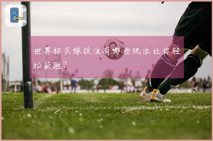 世界杯买球投注有哪些玩法让你轻松获胜？