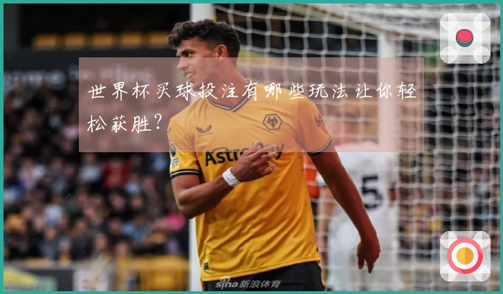 世界杯买球投注有哪些玩法让你轻松获胜？