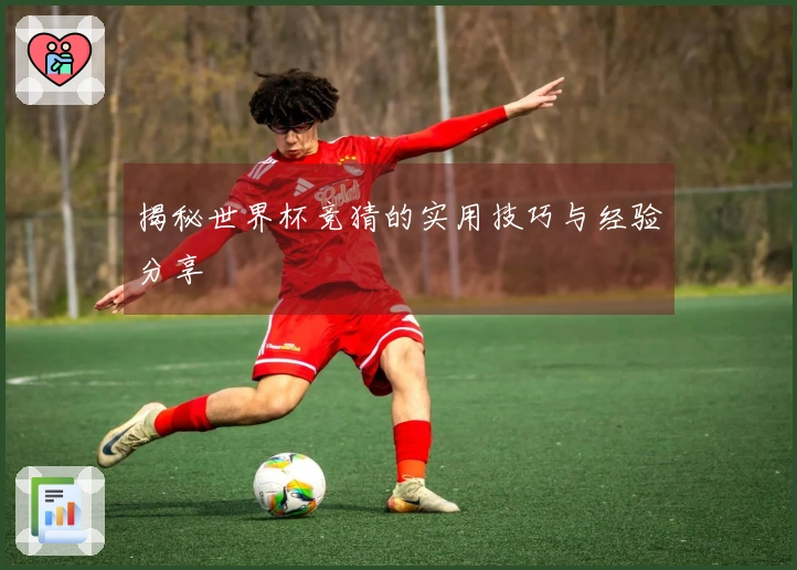 揭秘世界杯竞猜的实用技巧与经验分享